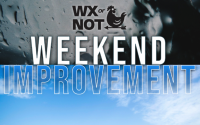 WABBLES Weekend: Clearing Out and Getting Comfortable